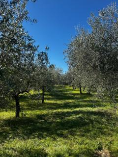 La Dimora di Sandra - 6