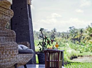Graha Rusni - Ubud - 0