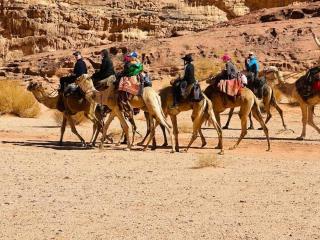 Wadi Rum Ali Camp - 2