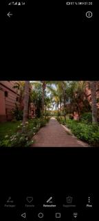 pation et jardin - 9