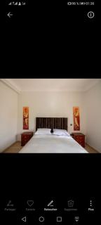 pation et jardin - 2