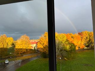 LITTLE LONDON - 2 new boutique apt, Netflix, Old Town - 5