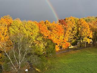 LITTLE LONDON - 2 new boutique apt, Netflix, Old Town - 8