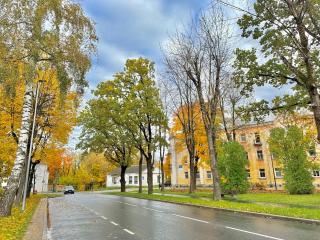 LITTLE LONDON - 2 new boutique apt, Netflix, Old Town - 9