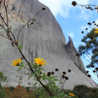 Sofia's Flat Pedra Azul - 0