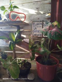 Mi Cabañita Guest House - 9