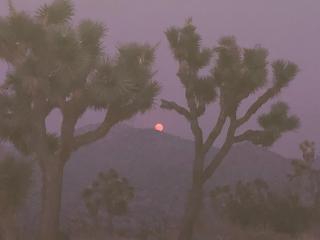 Mountainside Retreat - 9