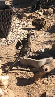 Mountainside Retreat - 8