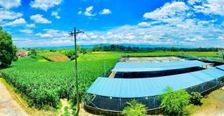 Apto con vista increible piscina a 10 min del Parque del Cafe - 2