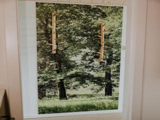 Cozy holiday home by the Fishing Pond - 4