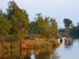 Cozy 6-person lodge by the fishing pond - 1