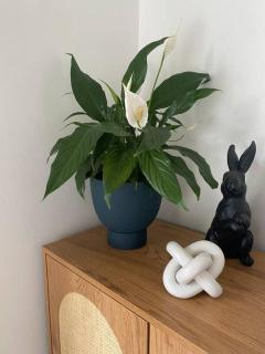 Rose Cottage - Charming 2 Bedroom Home - 6