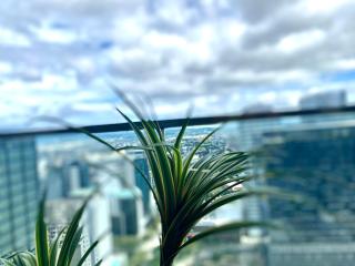 Uptown Parksuites Posh Modern Minimalist - 6