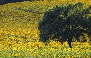 Nice Home In San Giustino Pg - 3