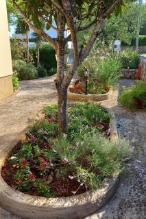 Apartments with parking space Muline, Ugljan - 8521 - 2