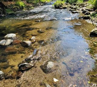 Cabaña HobbitXoxo - 3