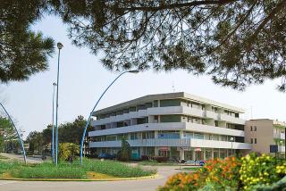 Newton - Bibione - 0