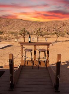 Zenity Joshua tree - 6