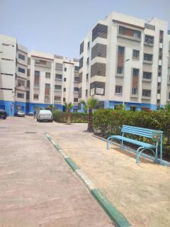 حاي محمدي - 4