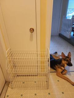 Licensed Private Cozy Basement Suite Near Downtown Saskatoon - 6