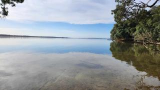 Kauri Point Self Contained Unit - 3