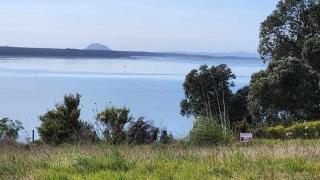 Kauri Point Self Contained Unit - 1