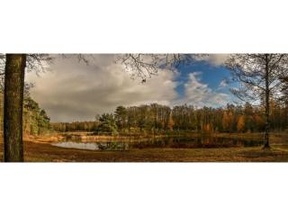 6-person holiday home for relaxing retreat - 4