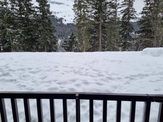 Studio Cabine F4 en Station Ski - 200m des Pistes - FR-1-687-118 - Flaine - 4