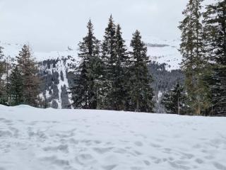 Studio Cabine F4 en Station Ski - 200m des Pistes - FR-1-687-118 - Flaine - 3