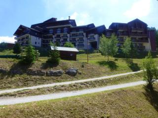 Appartement 2 pièces, 6 pers, animaux admis - Proche pistes Vallandry - FR-1-757-135 - 2