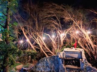 casa quinta los teritos - 5