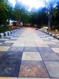 Glass House Yelagiri - 7