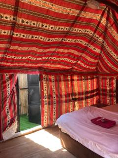 Mirage Desert Camp - 1