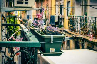 Elegant Central Apartment with Private Jacuzzi - 8