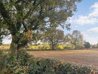 Kings Moor Retreat 1 - Uk50821 - 2