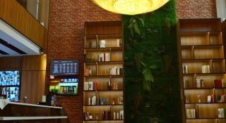 James Joyce Coffetel Lijiang Ancient City Dashuiche - 5