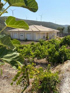 Villa Quinta Dom Reis - 2