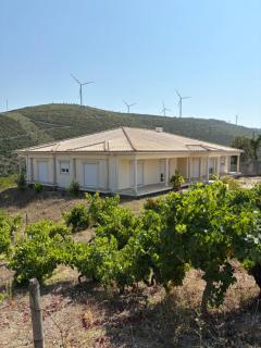 Villa Quinta Dom Reis - 6