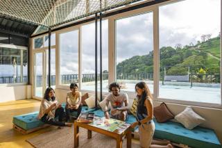 Monkey Tribe Munnar - 2