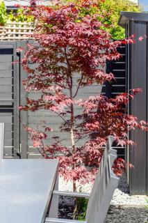 Urban Loft Near Westfield Mall Walk Everywhere - 6