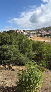 Villa Quinta Dom Reis - 5