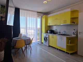 Cazare Apartament 2 camere Militari Residence - 8