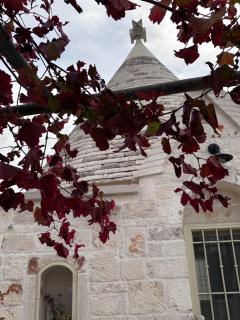 Trulli La Quercia del Nonno - 0