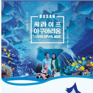 Hera Haeundae Family Residence - 8