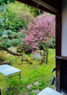 Guest House Miei - Vacation STAY 87536v - 8