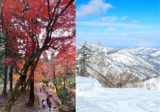 Kokuwaan - Vacation STAY 69606v - 2