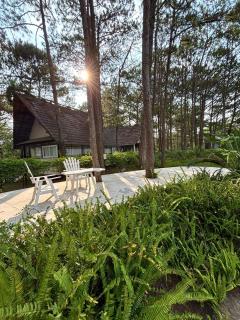 Smiling Pine Dalat - Thông Reo - 9