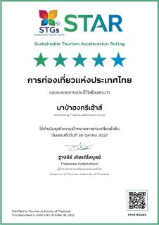 Napahong Treehouse forest camp - 8