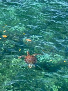 Villa Talisay - Beach house - 5