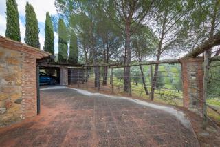 I Mandrioli - Casale Marittimo - 4